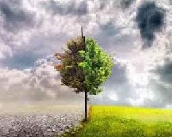 تحقیقات ناسا؛ نتایج نگران‌کننده‌ درباره وضعیت زمین+فیلم