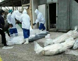 ایران؛ خطر چهار رقمی شدن مرگ‌های کرونایی جدی است