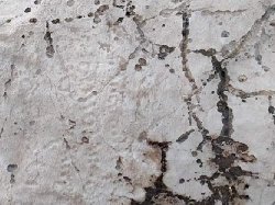 آیا می خواهند نام زرتشت را هم از کتیبه ها حذف کنند؟